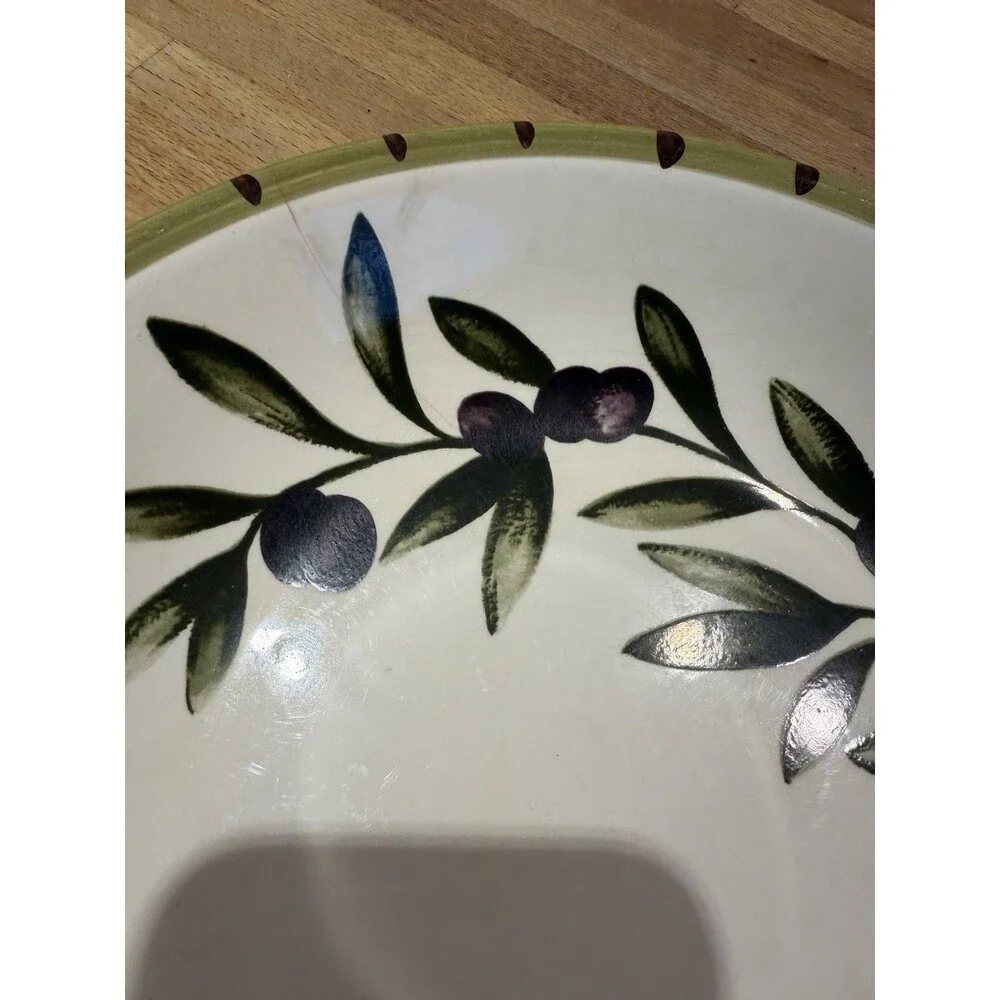 Williams Sonoma Pasta Bowl Liguria Pattern Olive Branches Glossy